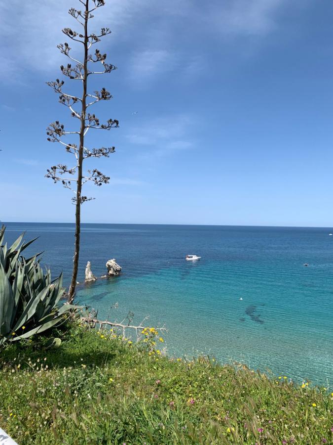 Fiori D'Arancio Apartment แตร์ราซีนี ภายนอก รูปภาพ